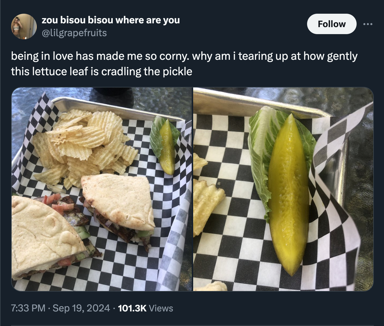 potato chip - zou bisou bisou where are you being in love has made me so corny. why am i tearing up at how gently this lettuce leaf is cradling the pickle Views